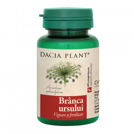 Branca ursului Dacia Plant – 60 tablete